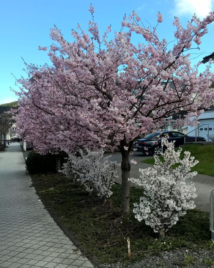 Fewo Altstadt Bl Bad Laasphe Zewnętrze zdjęcie
